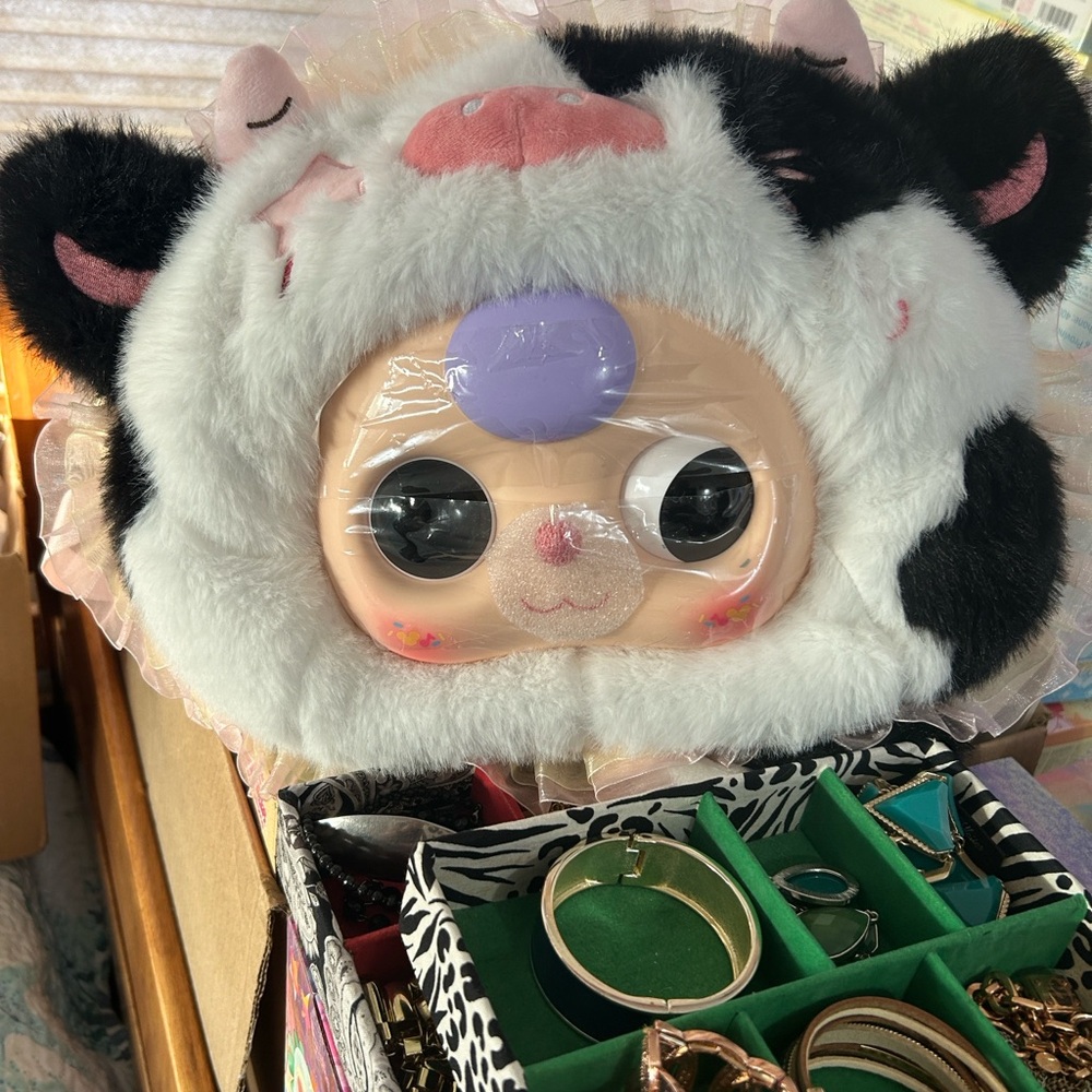 Live Show Listing - Picture 4 of 8